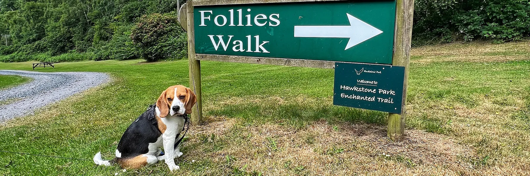 Four legged friends of Puddle Duck